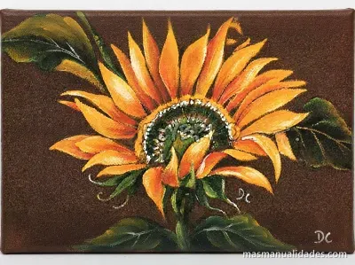 Laminas del sol