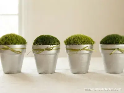 Mini Macetas para Decorar